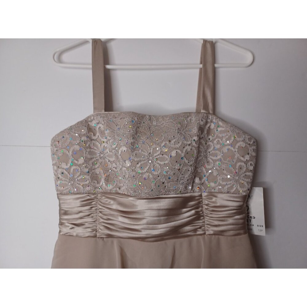 NWT R & M RICHARDS WOMEN'S BEIGE SEQUIN 2 PC DRESS SZ 12 PETITE - Picture 9 of 13